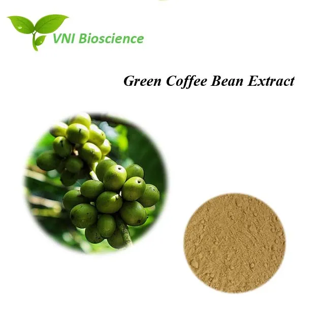 Certificado Kosher e Halal 100% Ácido Clorogênico Natural 70% 30% Extrato de Grão de Café Verde