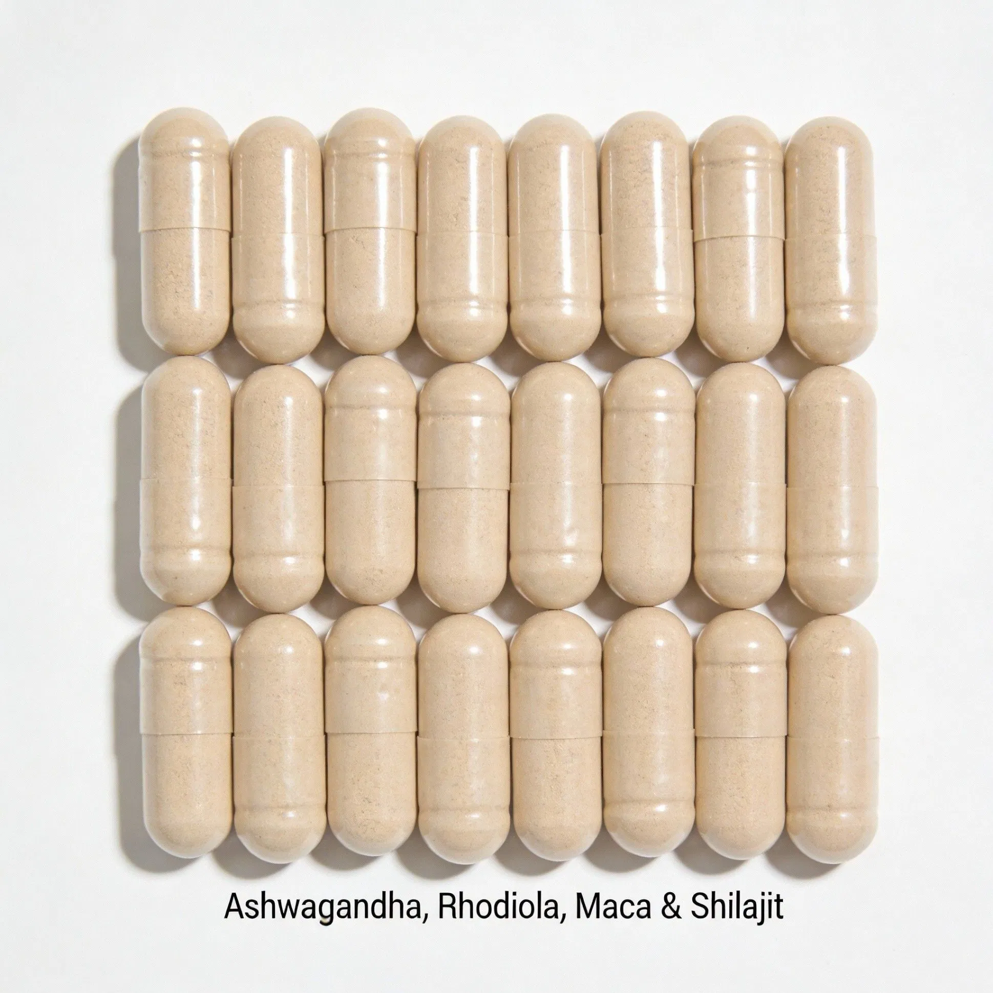 Cápsulas de Mistura de Ervas Adaptogênicas de Marca Própria com Ashwagandha, Rhodiola, Maca e Shilajit