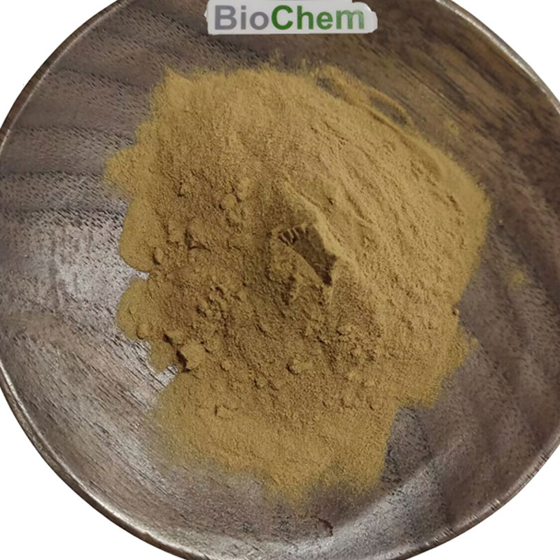 Suplementos Nutricionais Pó de Extrato de Grão de Café Verde