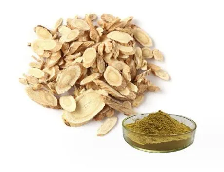 Extrato de Astrágalo com Astragalosídeo 100% Extrato Natural de Astrágalo