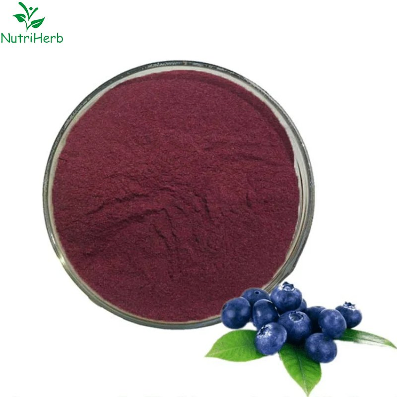 Extrato de Mirtilo UV Antocianidina Orgânica 1%-25% Super Antioxidante Pó de Extrato de Planta Herbal