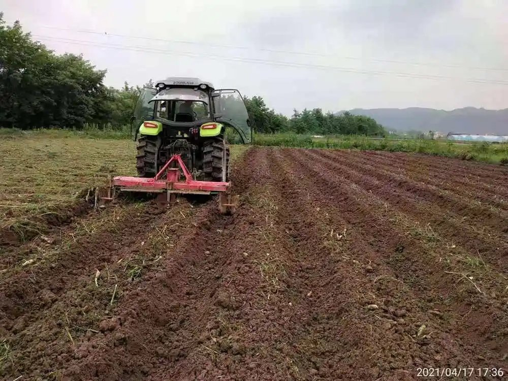 Extrato de Grifola Frondosa Extrato de Cogumelo Maitake Polissacarídeos