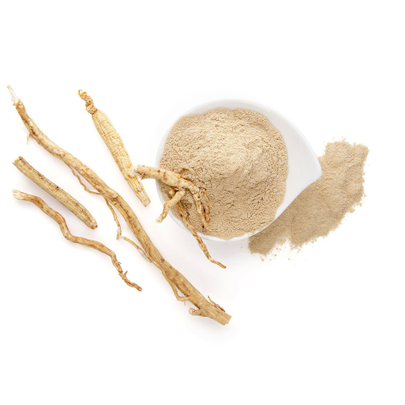 Melhor Preço Extrato de Raiz de Ginseng Panax Orgânico Premium - Amostra Grátis Baixa Quantidade Mínima de Pedido