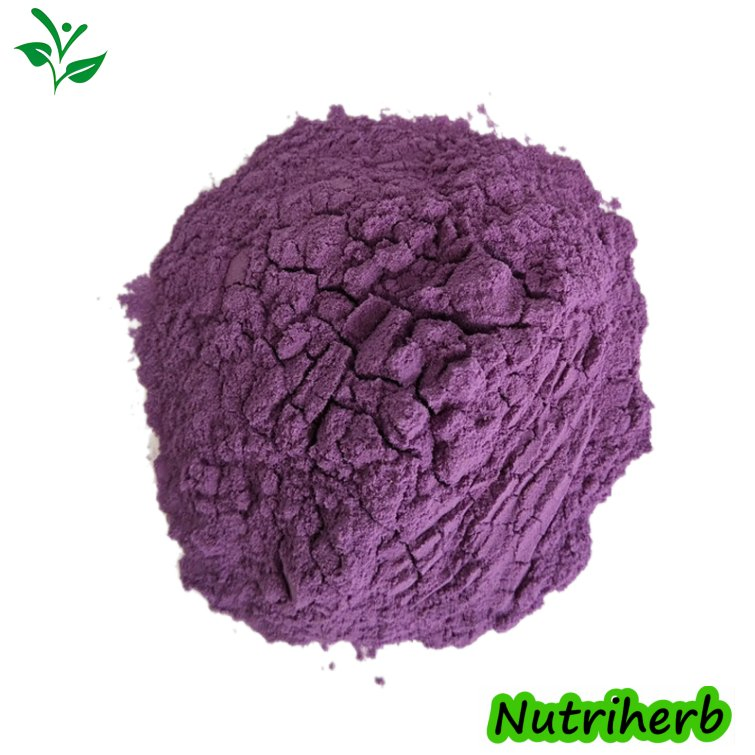 Extrato de Mirtilo UV Antocianidina Orgânica 1%-25% Super Antioxidante Pó de Extrato de Planta Herbal