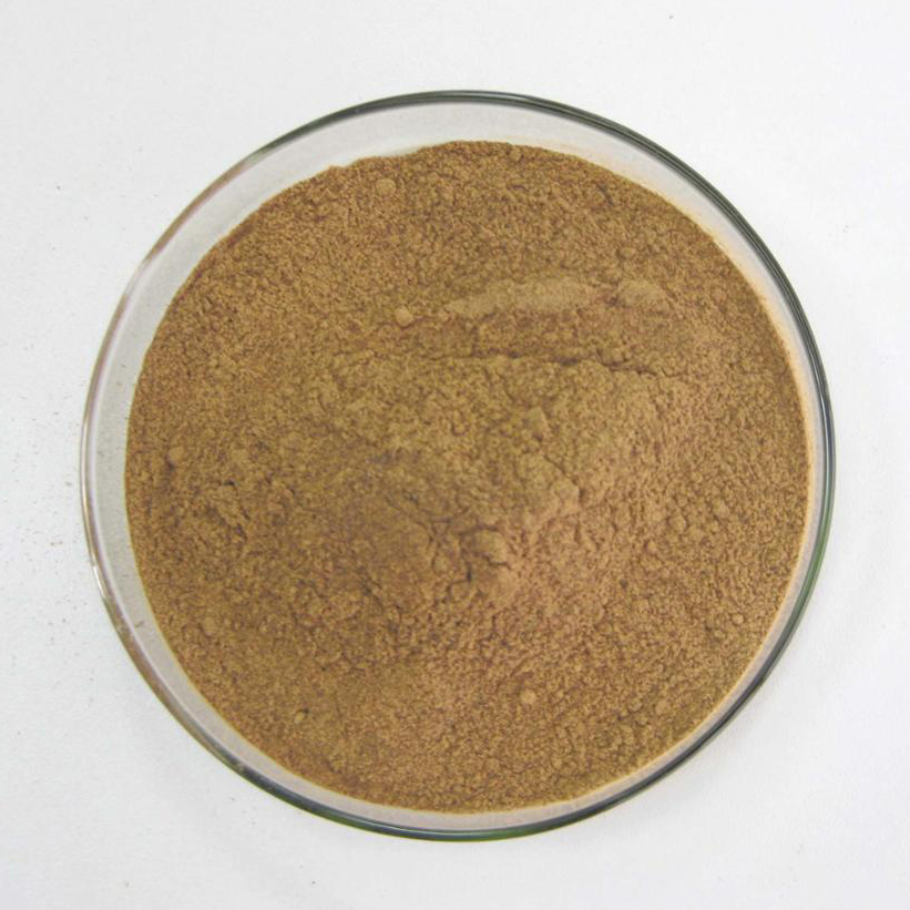 Extrato de Alcachofra Orgânico da UE de Medicina Herbal