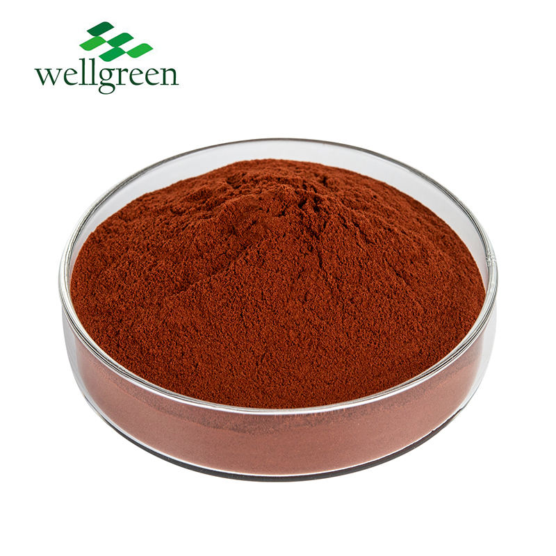 Pó de Extrato de Rhodiola Rosea Atacadista Extrato Orgânico de Rhodiola Rosea Salidrosídeo