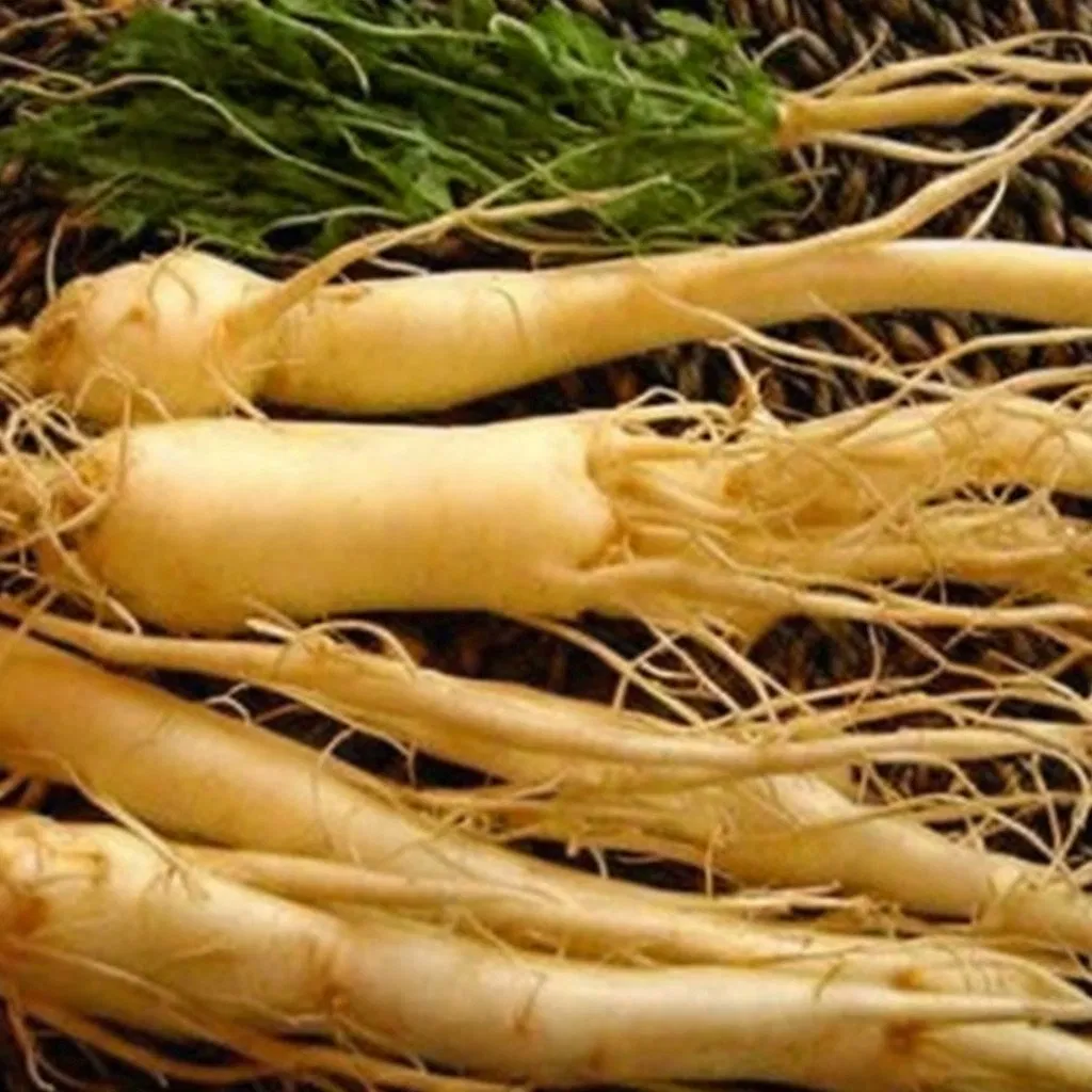 Extrato de Panax Ginseng 10: 1 Pó Concentrado, Ingrediente Dietético e Grau Alimentar