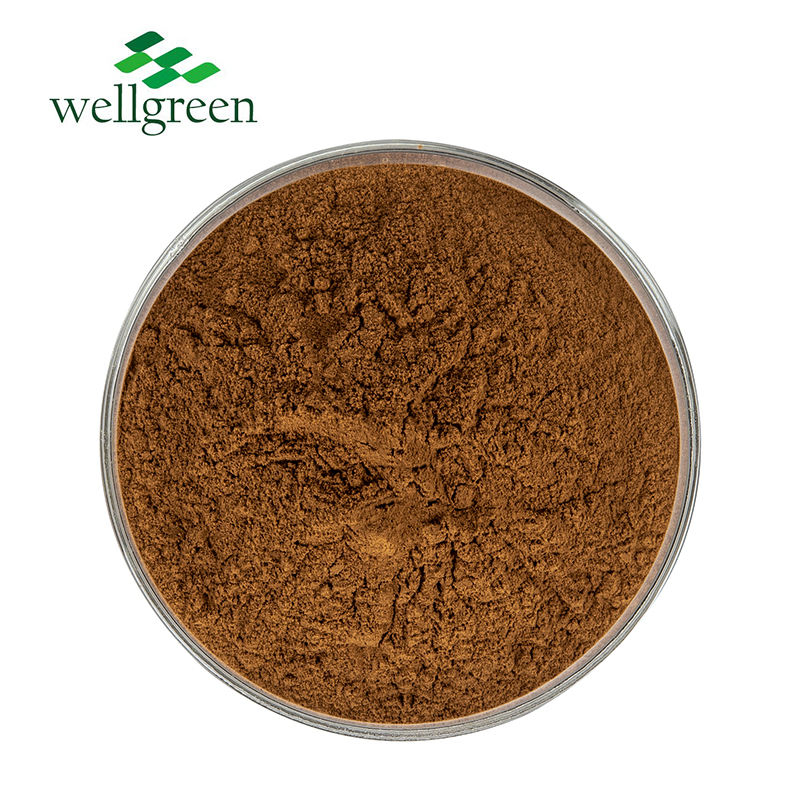 Fornecimento de Fábrica Pó de Extrato de Raiz de Ginseng Vermelho 5%~80% Ginsenosídeos Extrato de Ginseng Panax