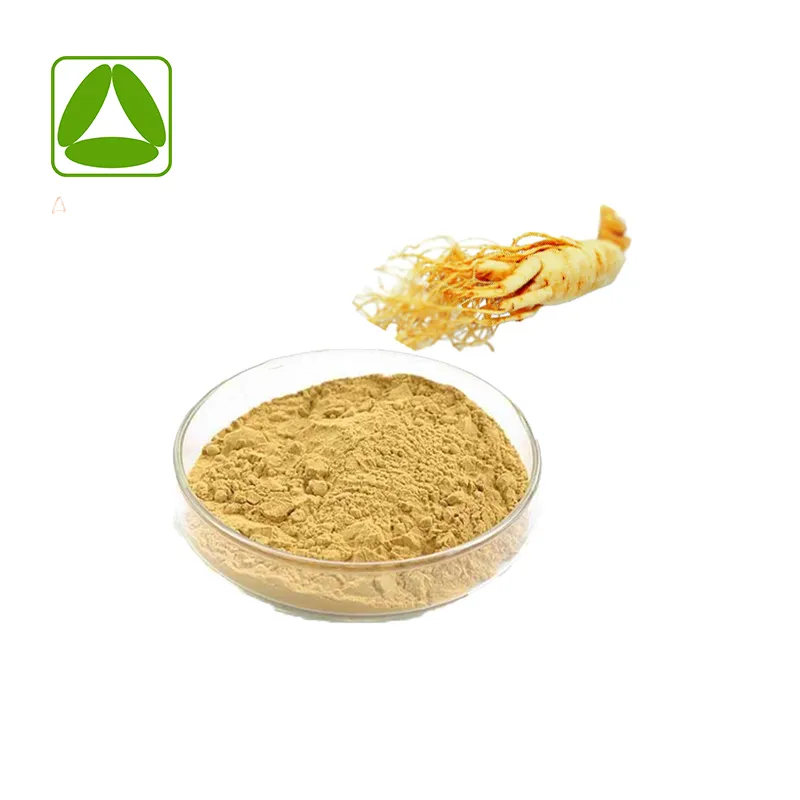 Pó de ginsenosídeo de fornecimento de fábrica extrato de ginseng panax