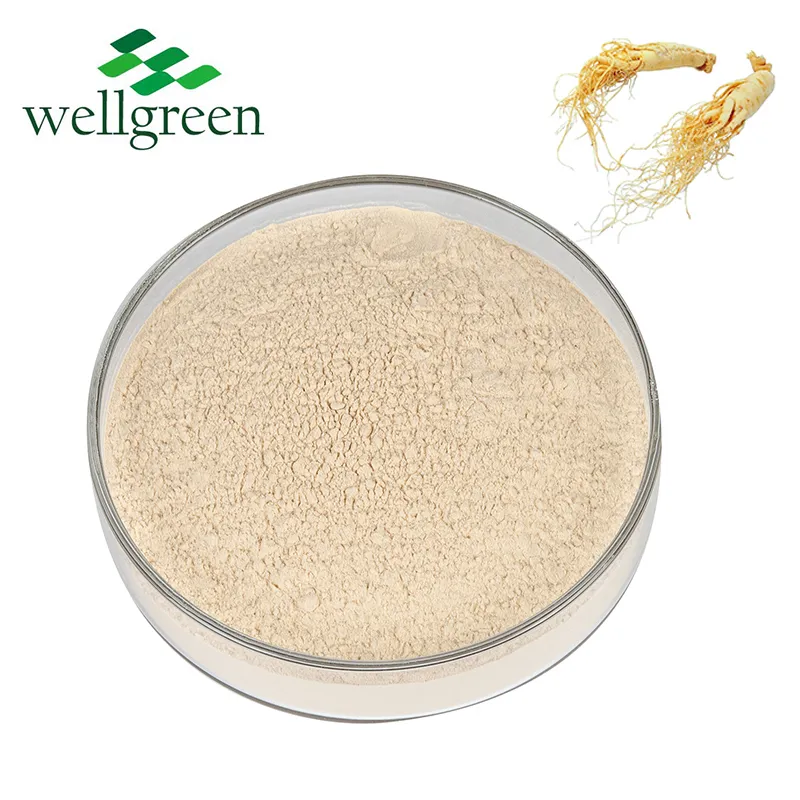 Pó de Extrato de Panax Ginseng Lipossomal de Alta Qualidade 5% Ginsenosídeo