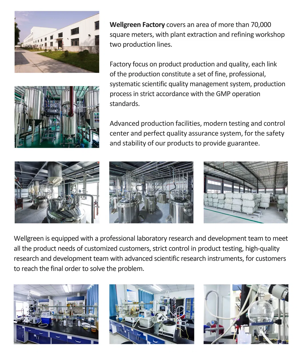 Processamento de Extrato de Folha de Bambu