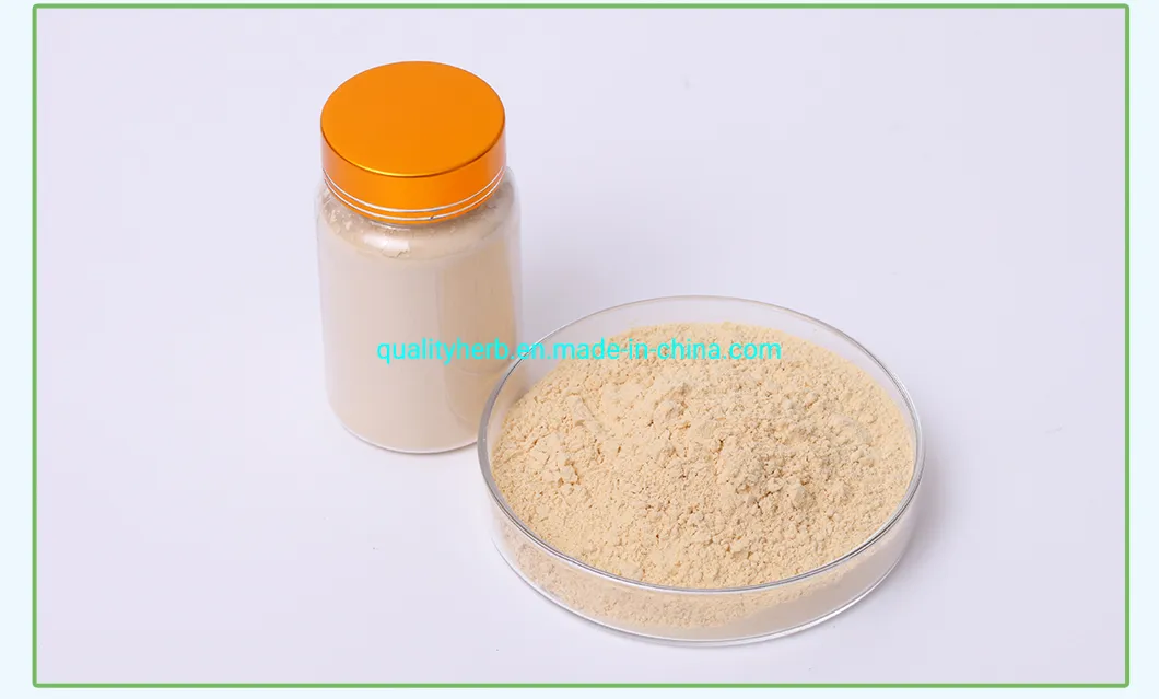 Fornecimento de Fábrica 80% Extrato de Ginseng Panax UV