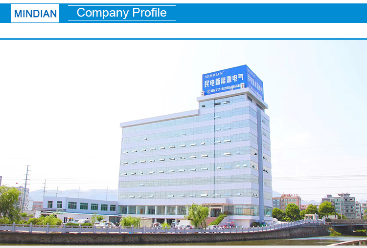 Company Showcase