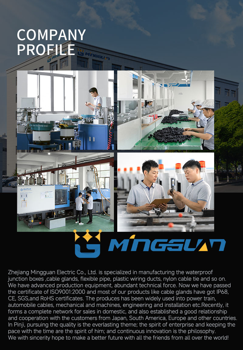 Manufacturing Facility