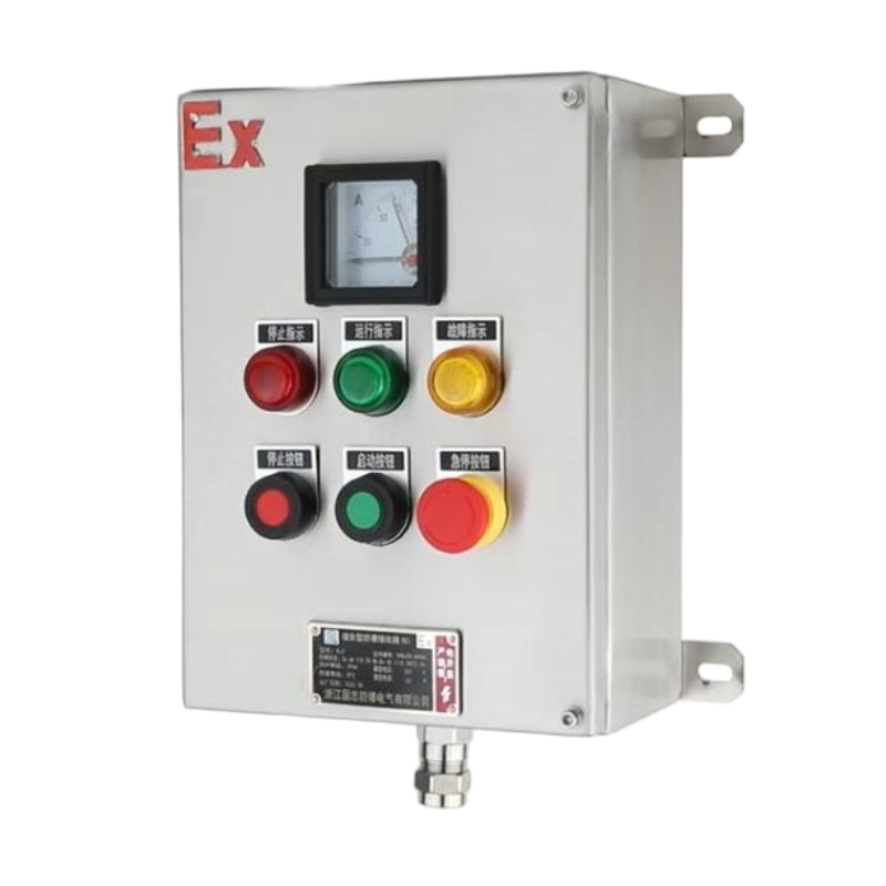Stainless Steel Explosion-Proof Control Distribution Box for Safety