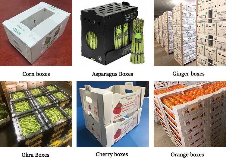 Fruit and vegetable packaging