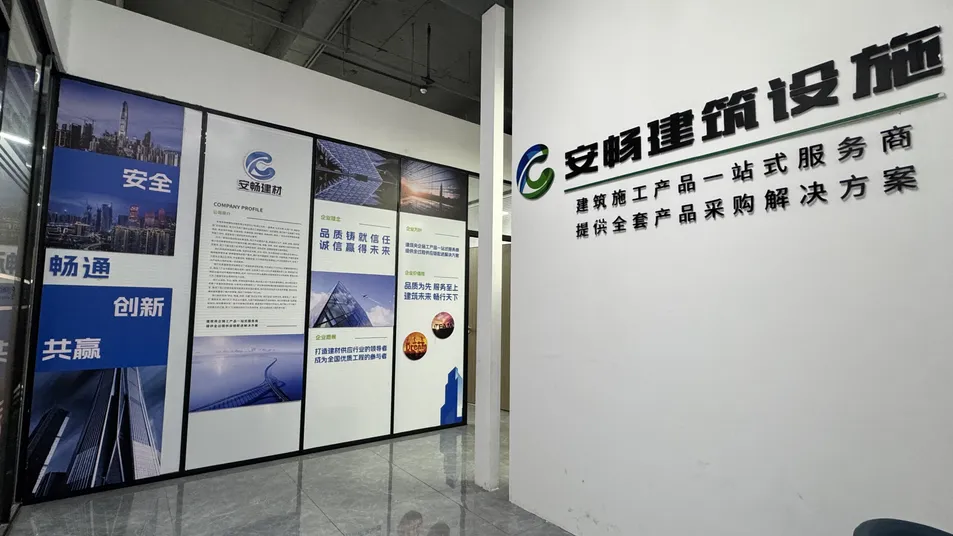 Company Establishment and Introduction