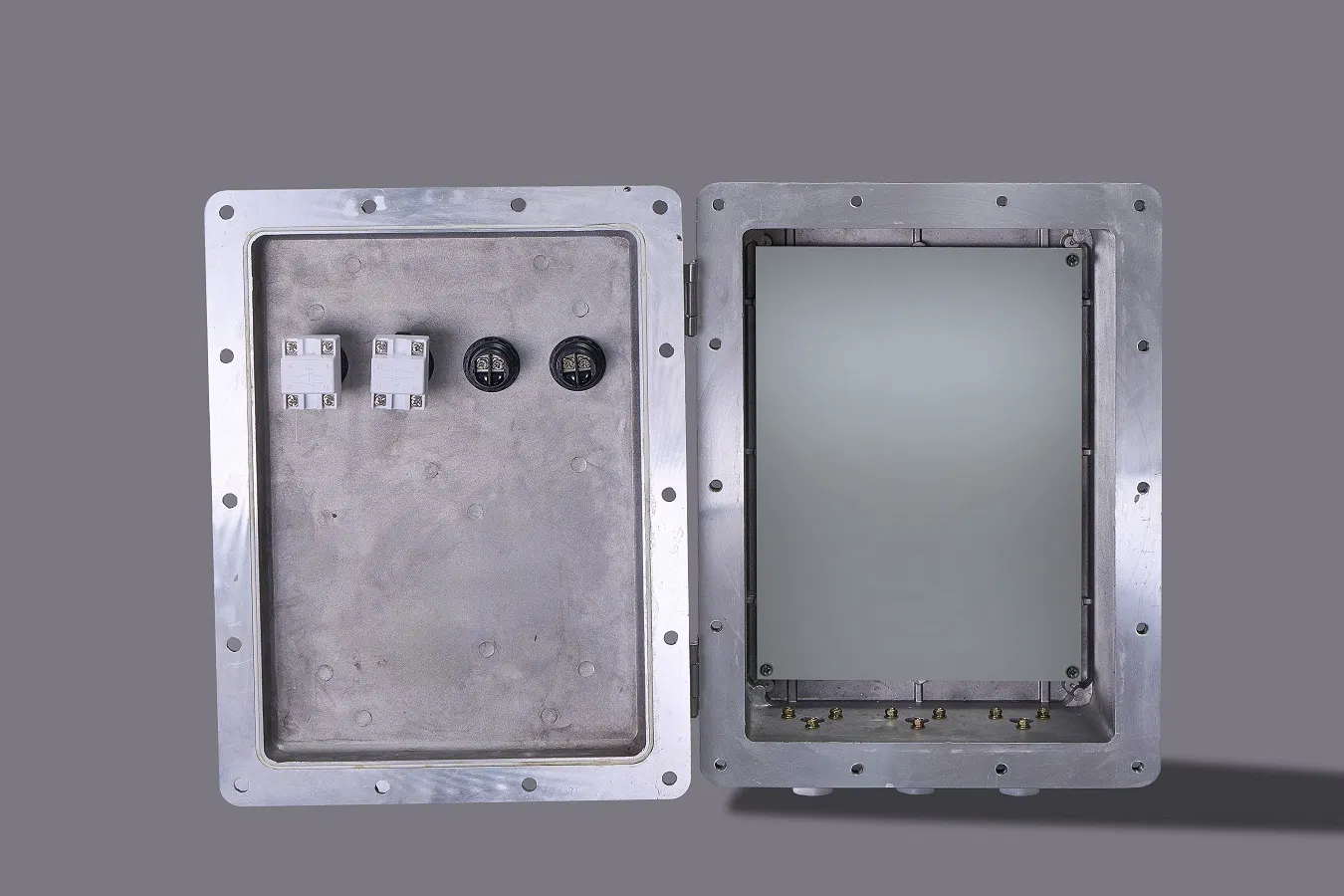 Explosion-Proof Wall-Mounted Distribution Box, Resistant to Chemical Corrosion.