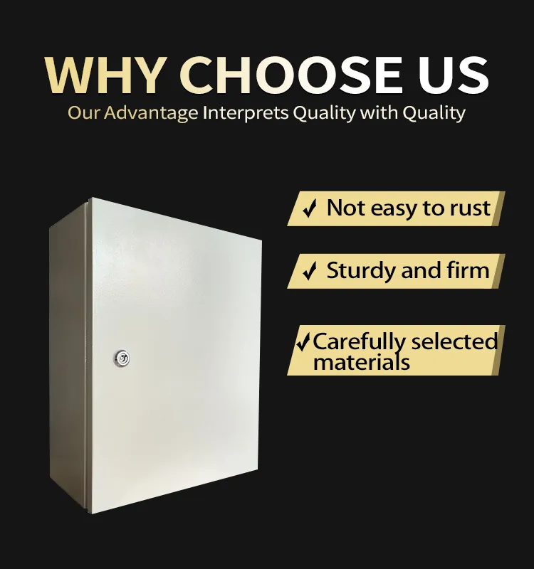 Waterproof and Dustproof Wall Mounted Double Door Metal Distribution Box