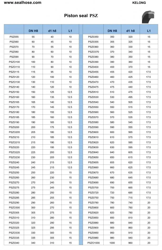 PSZ Seal Dimensions and Structure
