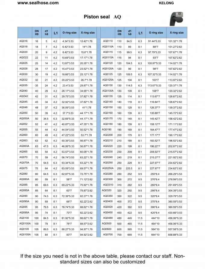 PTFE / NBR Bidirectional Piston Seal Kit 1