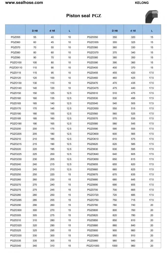 PGZ Piston Seals Details