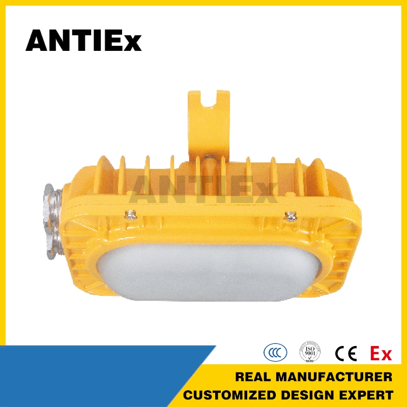 ATEX Explosion Proof Floodlight Anti IP66 LED Flood Light for Offshore Drilling Platforms Refineries
