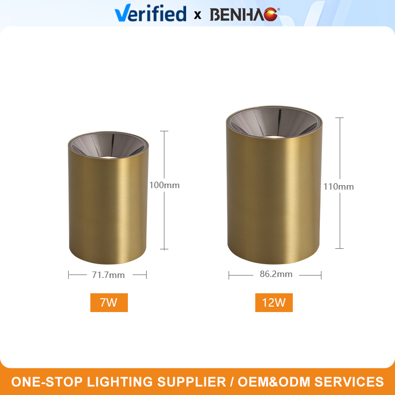 Adjustable 7-24W SMD/COB LED Ceiling Spot Light Fixture