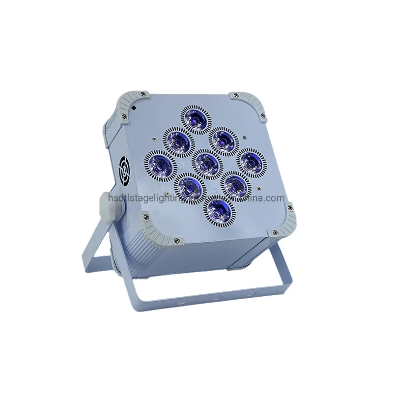 LED Par Light View 5