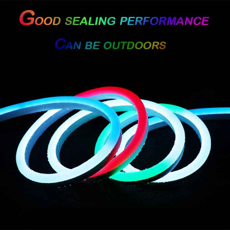 Custom IP65 Waterproof RGB Chasing Neon LED Lights 5m Flexible Stage Lighting for Christmas for Madrix Control Lighting