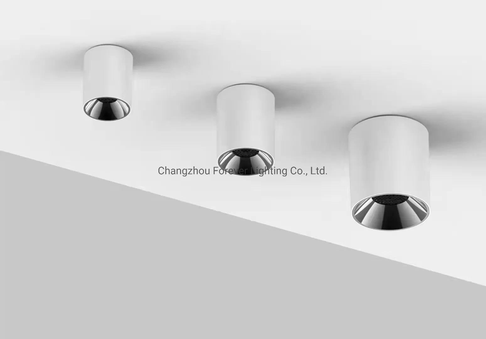 Commercial Indoor Ceiling IP65 10W 20W 30W Surface Mounted Cylinder Spotlight LED Downlight