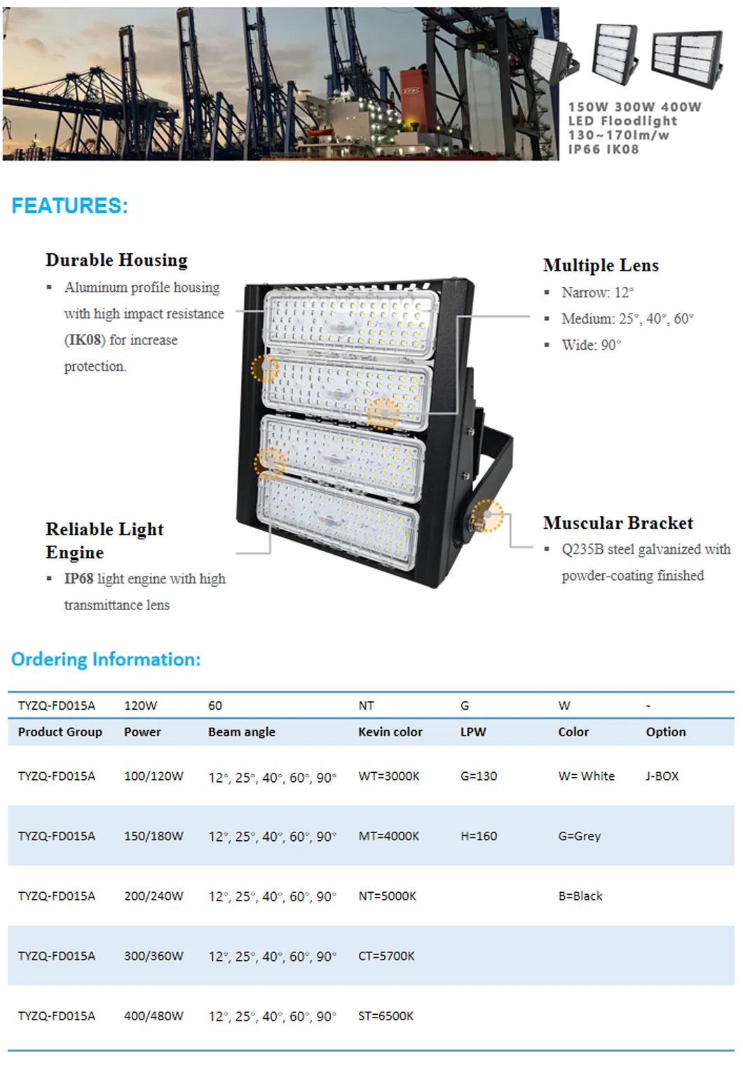 LED Flood Light Details 1