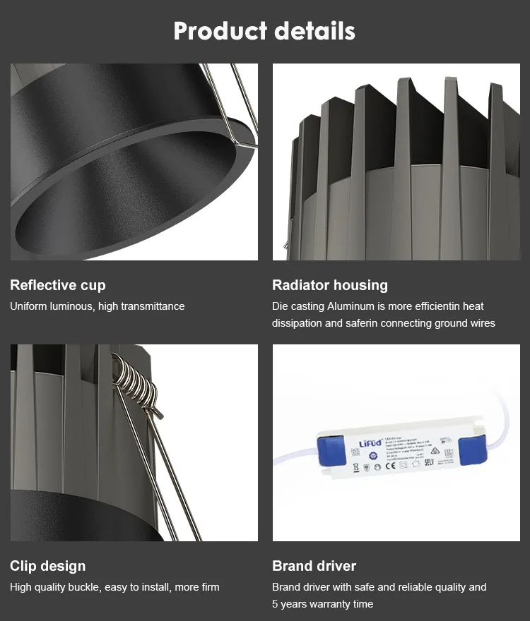 Indoor Lighting LED Downlight