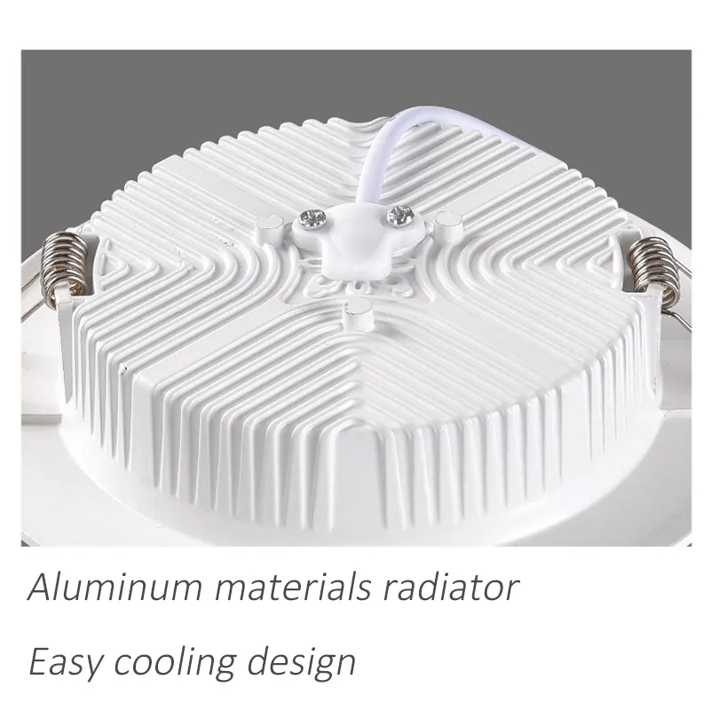 LED Downlight View 4