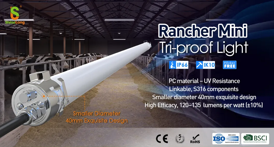 Durable Vapor Tight LED Fixture