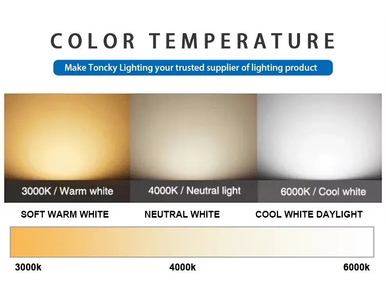 Magnetic Track Light Installation