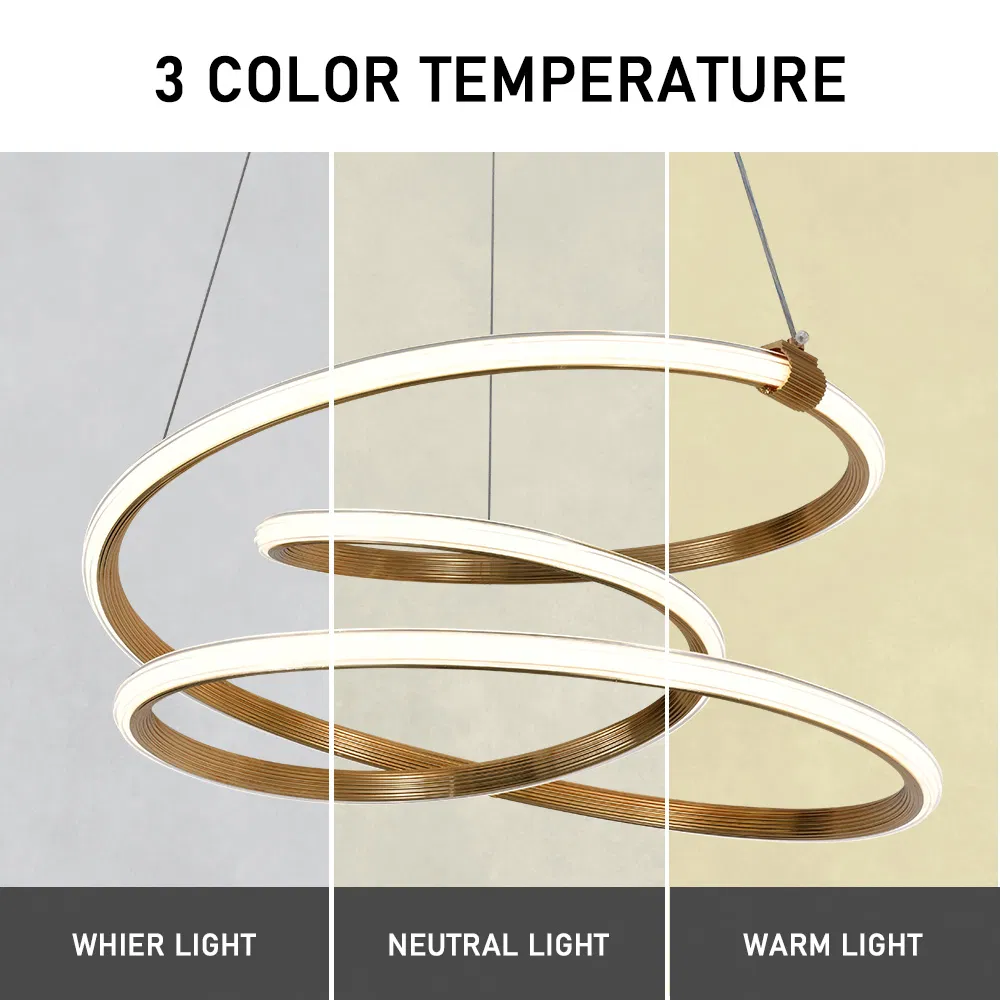 Dimmable Ceiling Modern Ring Ceiling Pendant Lighting Decoration LED Pendant Lighting