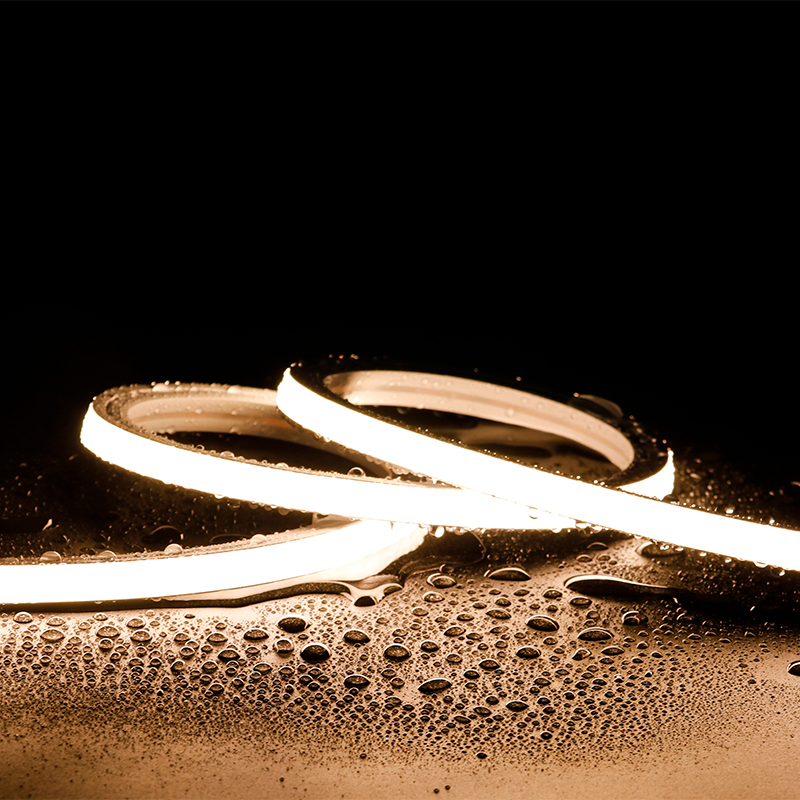 24V Outdoor IP65 Waterproof 10*10mm Silicon Flexible Tube Landscape Decoration Lighting Wall Panel Park Party LED Neon Strip Light