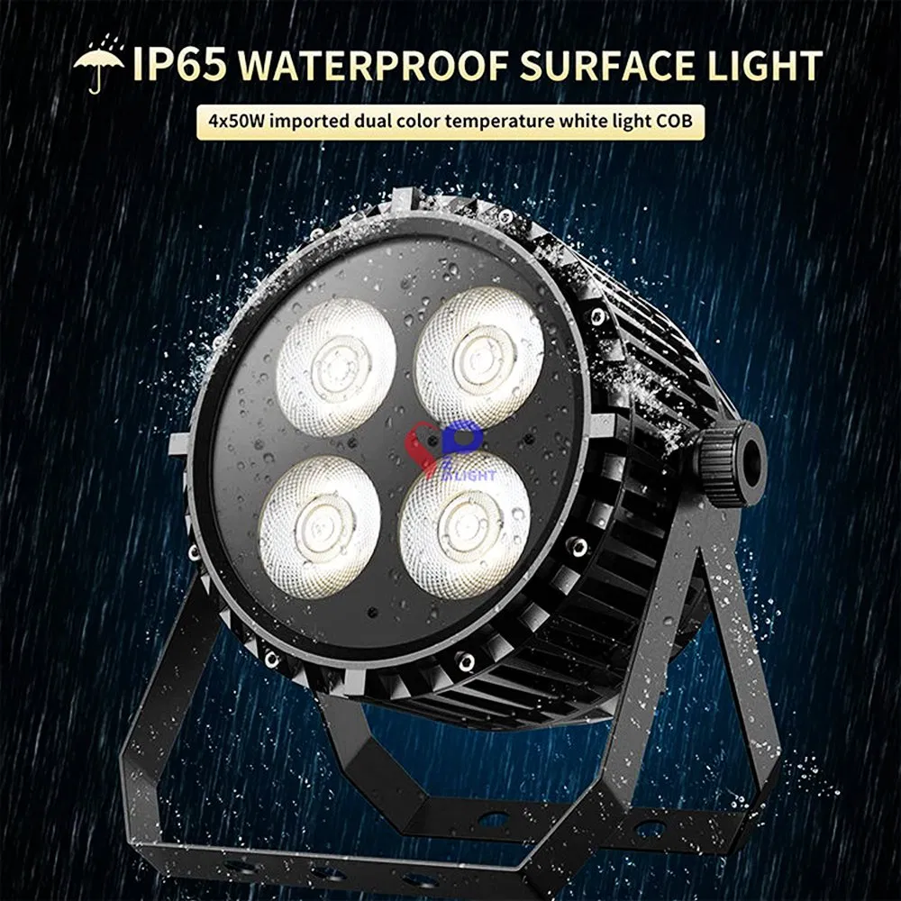 Stage Light: Outdoor LED PAR COB Light Spotlight