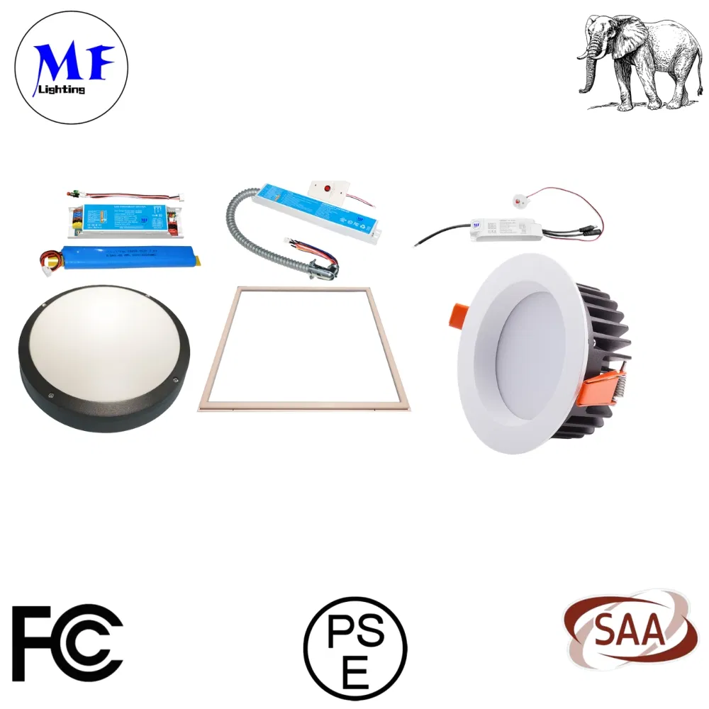 Factory Direct Pricing 4W 6W 8W 100-347VAC 5years Warranty 3 Hour Longevity Smart Surge Protection Self-Testing Lifep04 Emergency Driver System for LED Light