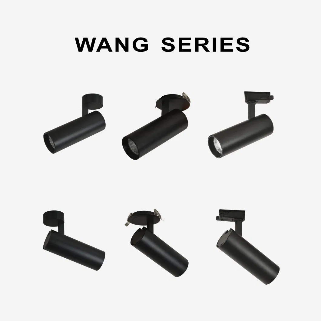 Modern Recessed Black Dimmable RoHS COB LED Track Spot Light Lighting