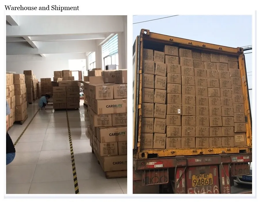 Ceiling Installation View