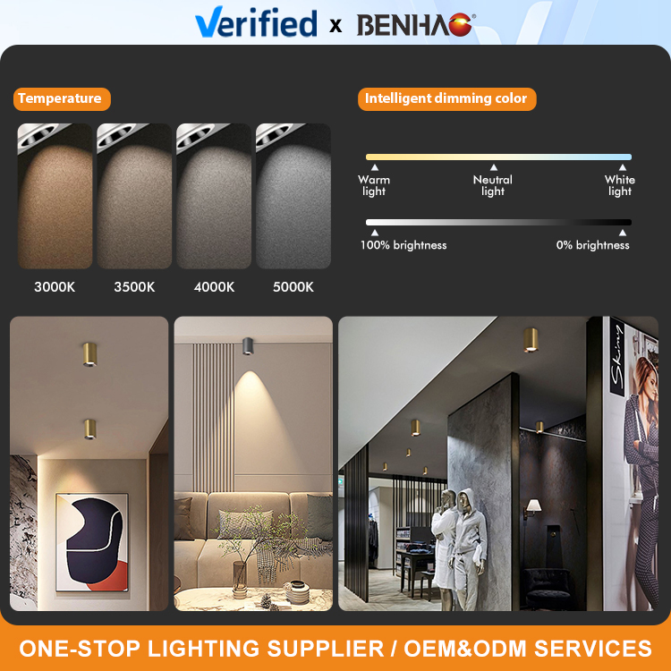 Adjustable 7-24W SMD/COB LED Ceiling Spot Light Fixture