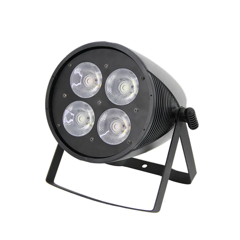 36W 12 LEDs DJ RGBW Mini LED PAR Can