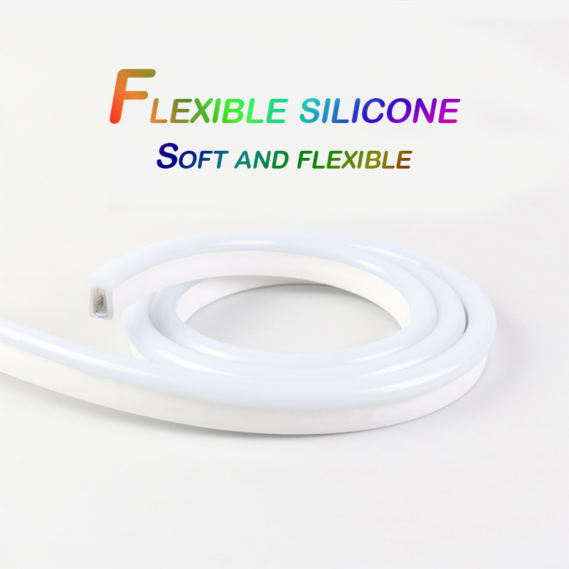 Custom IP65 Waterproof RGB Chasing Neon LED Lights 5m Flexible Stage Lighting for Christmas for Madrix Control Lighting