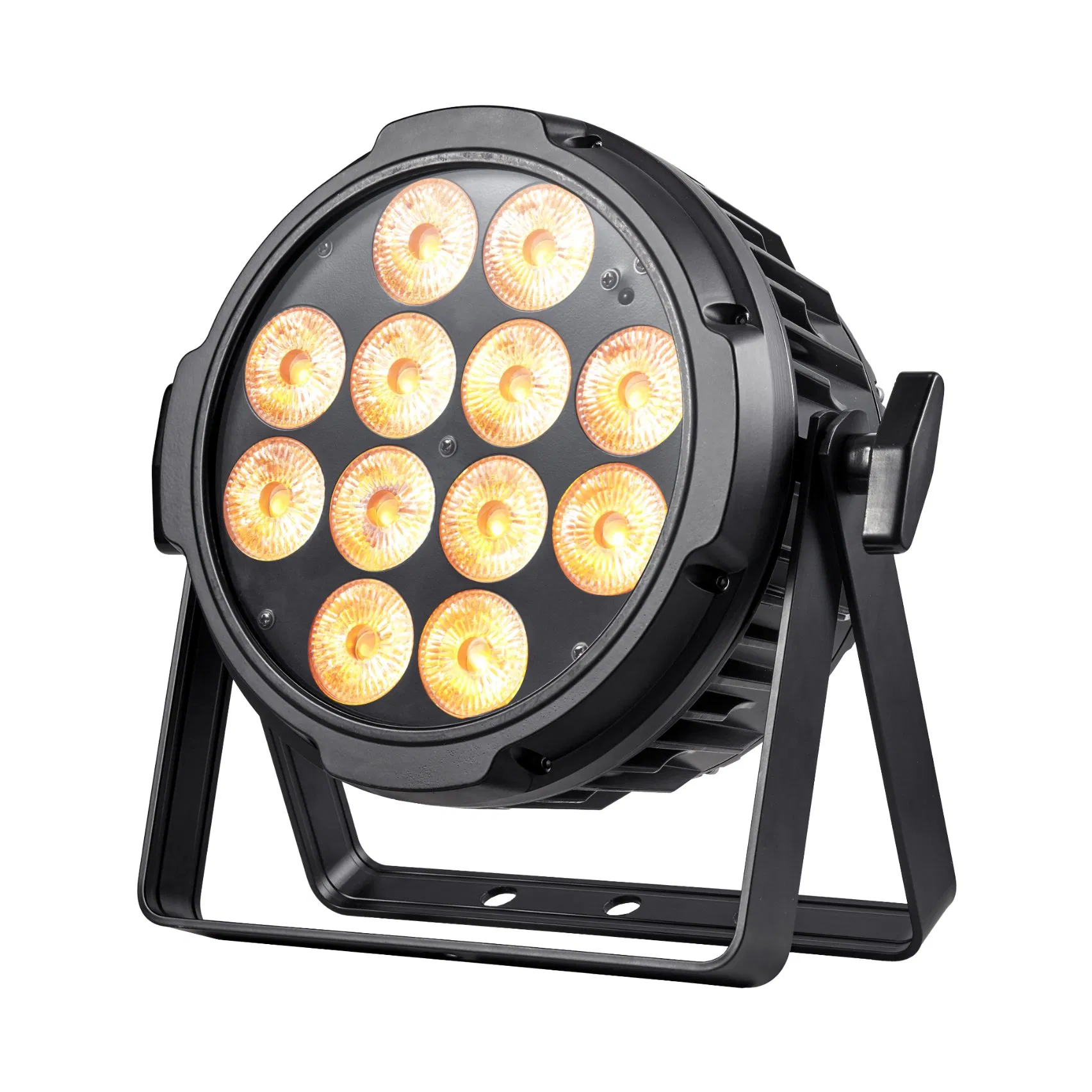 Outdoor Stage 12PCS LED PAR Can 12*18W Waterproof LED PAR Lights
