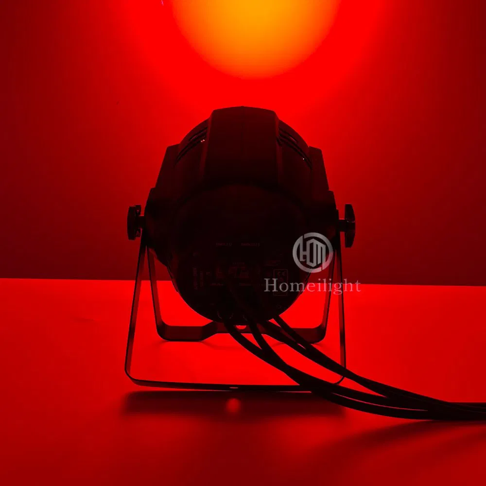 China Stage Lighting LED PAR Cans 24*12W PAR Light