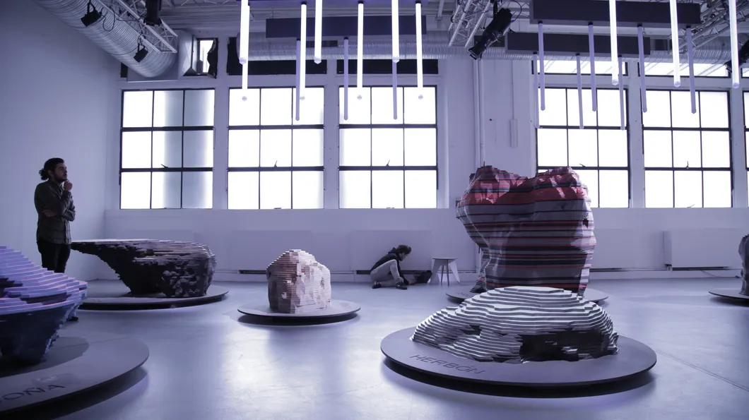 Project Case Overview