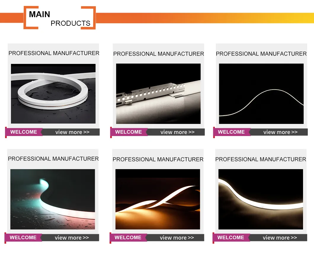 LED Neon Lights Overview