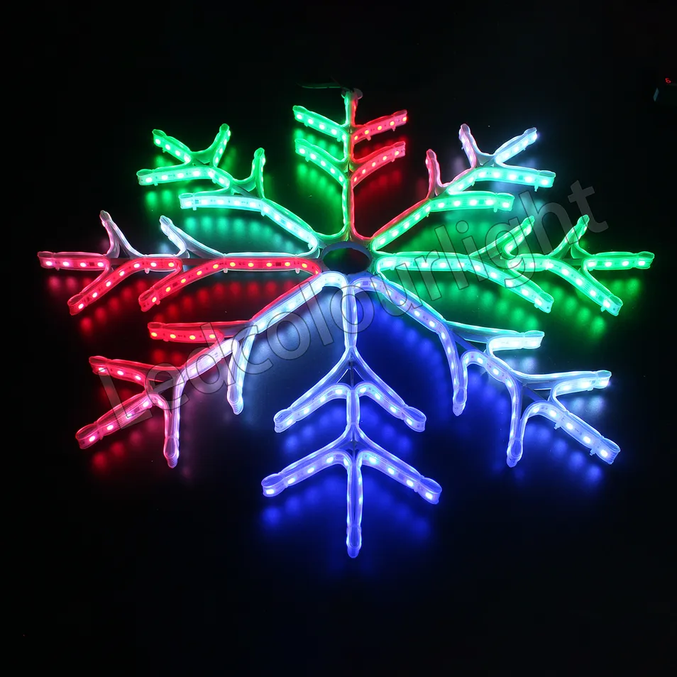 LED Snow Light Detail